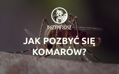 Jak pozbyć się komarów?