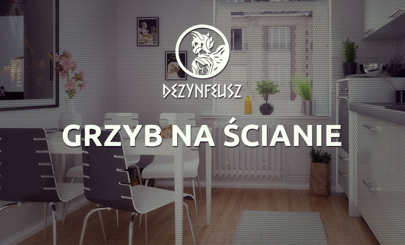 grzyb-na-scianie