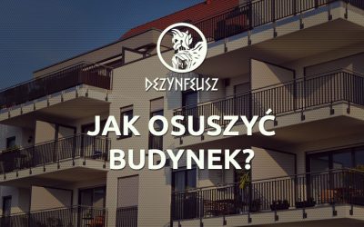 Jak osuszyć budynek?