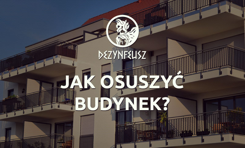 jak-osuszyc-budynek