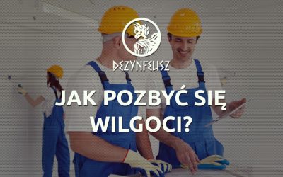Jak pozbyć się wilgoci?